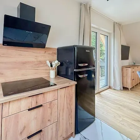 Ptasi Spiew 2 Apartment Rabka